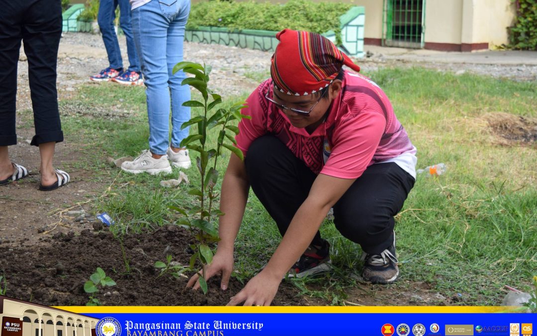 PSU-BC graduating studes plant trees